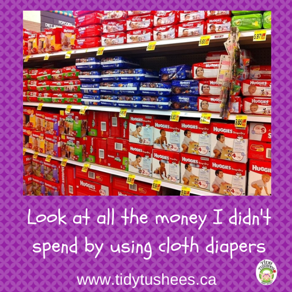 Reasons to Use a Cloth Diaper Service Tidy Tushees