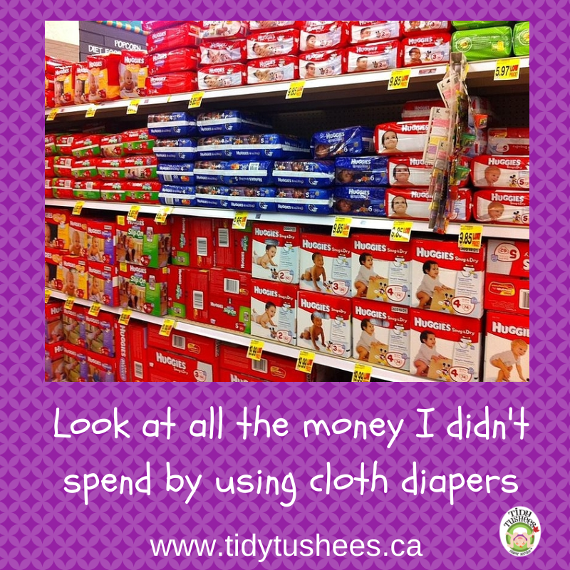 Reasons to Use a Cloth Diaper Service Tidy Tushees